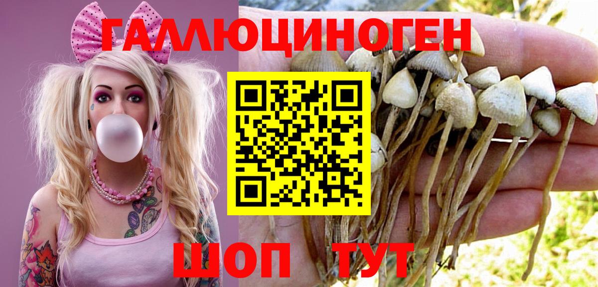 Псилоцибиновые грибы ЛСД  Вход с VPN  Амурск 