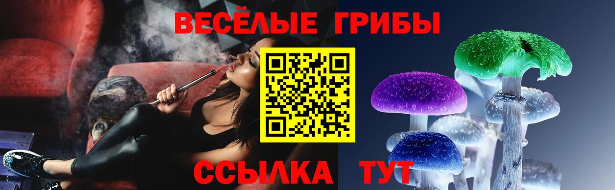 Галлюциногенные грибы Cubensis Амурск